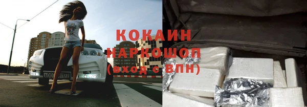 прущие грибы Балабаново