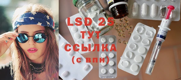 ГАЛЛЮЦИНОГЕННЫЕ ГРИБЫ Баксан