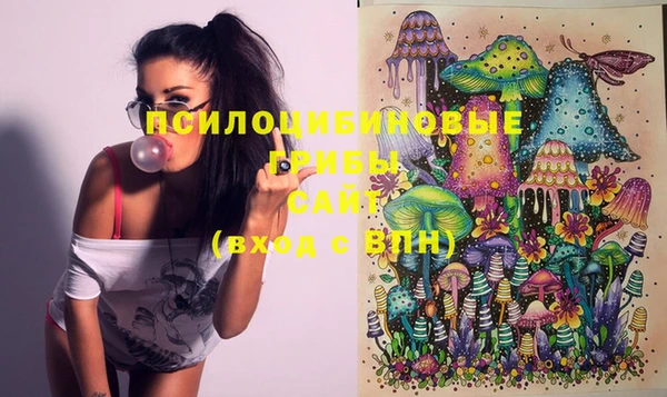 2c-b Ладушкин