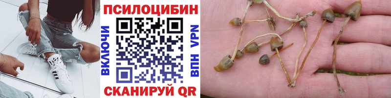 KRAKEN вход  Афипский  Псилоцибиновые грибы мухоморы 
