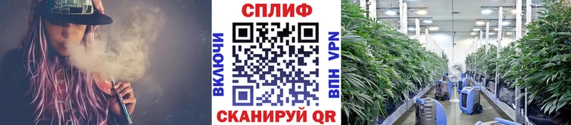 хочу наркоту  Афипский  мега зеркало  Марихуана конопля 